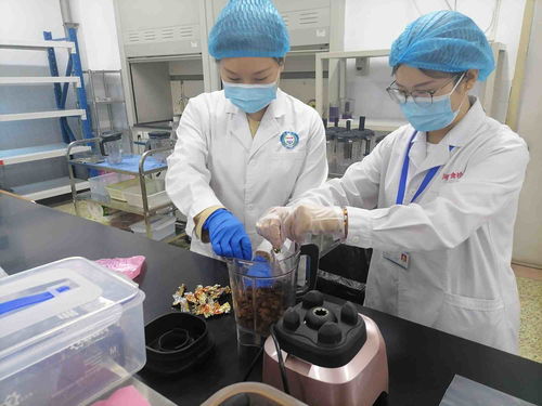 河南省食品檢驗研究院實驗室開放日 見證食安檢驗衛(wèi)士如何守護百姓餐桌安全