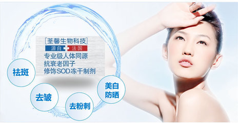 TRANSUN荃馨 SOD凍干粉 抗衰排毒因子 護膚品 盒裝5組 (淡斑去皺美白) 【圖片 價格 品牌 報價】