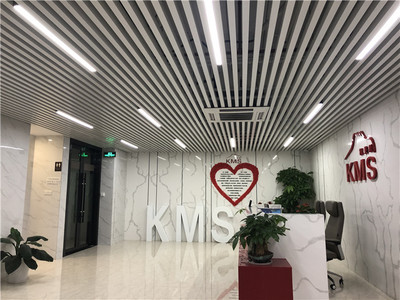 凱美斯脂肪刀 專業祛斑，放心塑造美麗